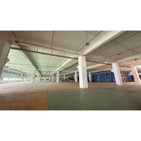 Cho Thuê Kho Xưởng Giá Tốt Tại Q9  Khu Công Nghệ Cao