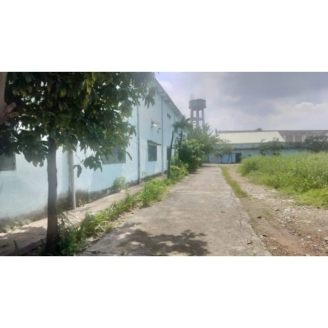 BÁN ĐẤT CÔNG NGHIỆP 12.500m2 TẠI LÁI THIÊU, THUẬN AN (BÌNH DƯƠNG NAY LÀ TP.HCM)